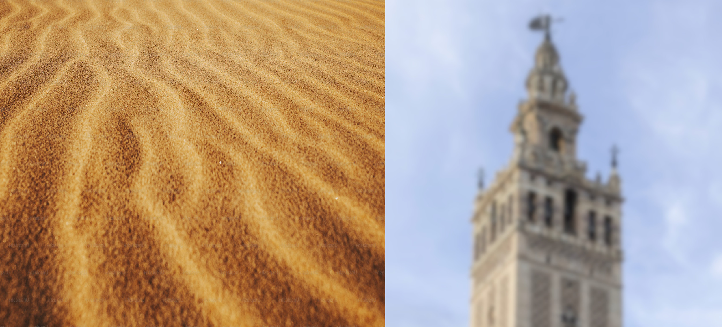 Miopía patológica: Tipos de miopía