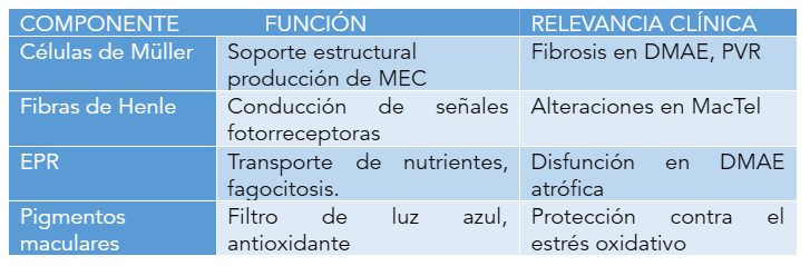 Miopía patológica: Tipos de miopía
